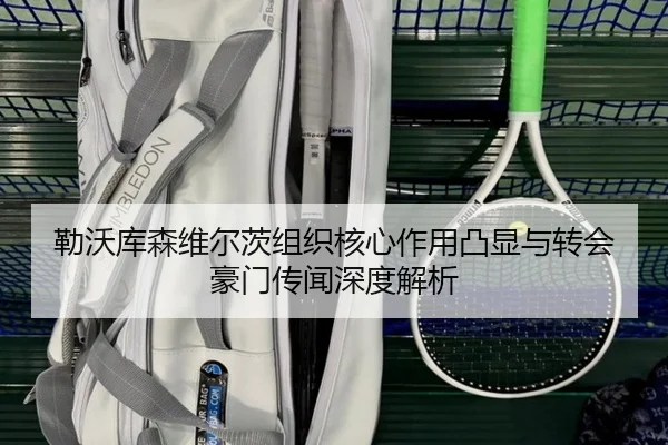 勒沃库森维尔茨组织核心作用凸显与转会豪门传闻深度解析