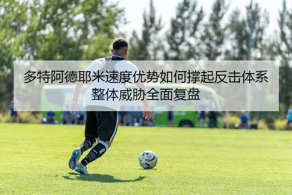 多特阿德耶米速度优势如何撑起反击体系整体威胁全面复盘
