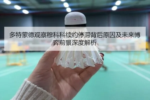 多特蒙德观察穆科科续约停滞背后原因及未来博弈前景深度解析